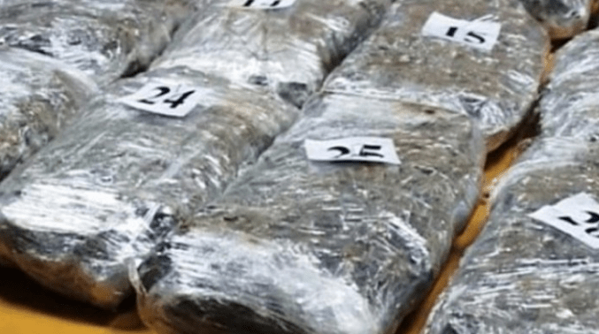 SIPA u Gornjem Vakufu oduzela 400 kilograma skanka