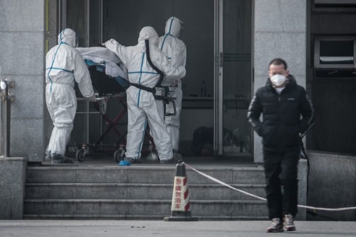 korona virus