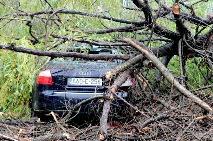 Nevrijeme: Stabla padala na automobile