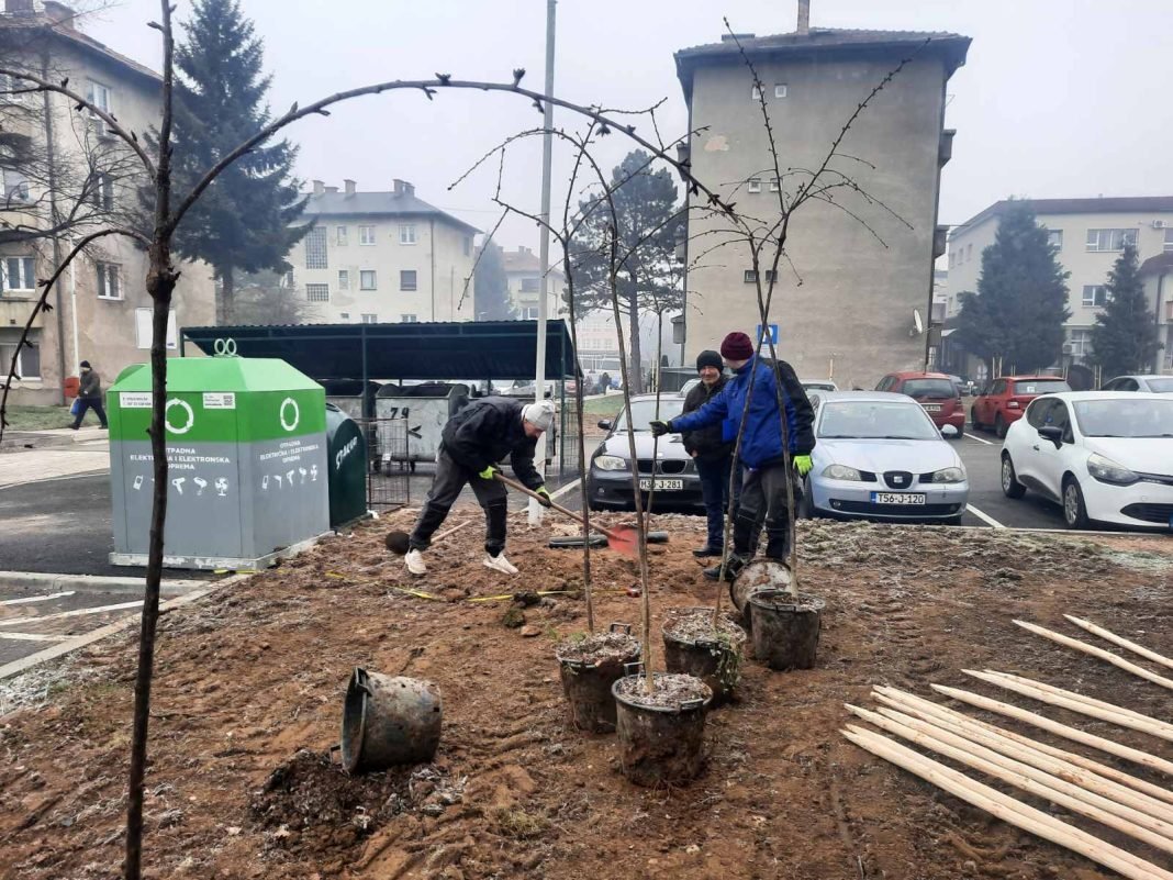 Novi Travnik: Završena sadnja 55 sadnica u gradskoj zoni